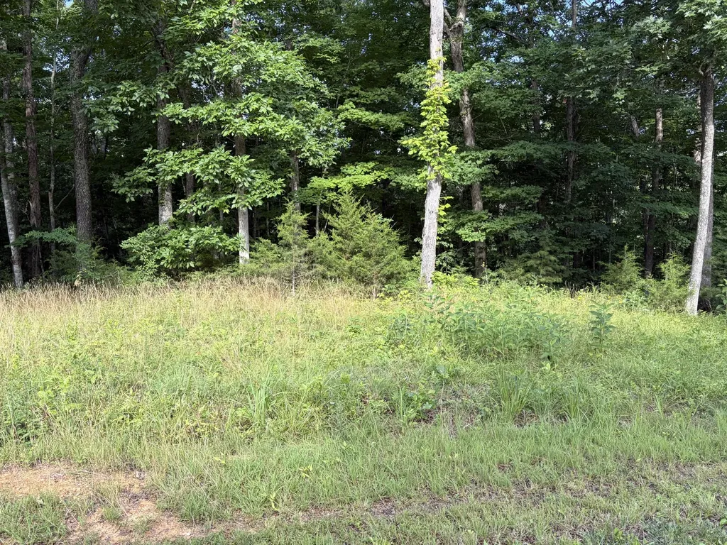 132 W West Willow Point Road Monticello KY 42633