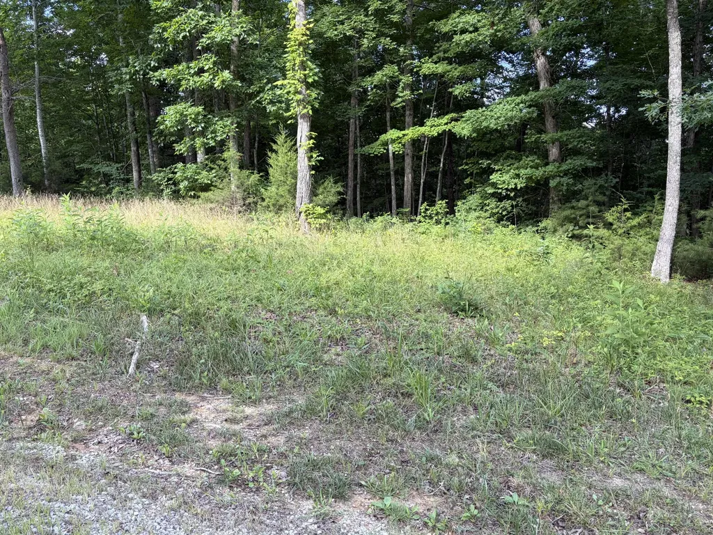 132 W West Willow Point Road Monticello KY 42633