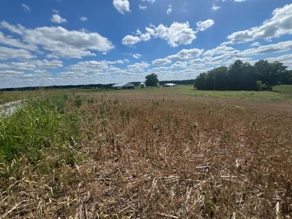 Lot 4 Willis Road Columbia KY 42728