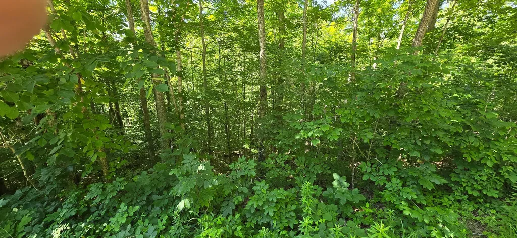 0, Lot 1 Roberts Bend Road Burnside KY 42519