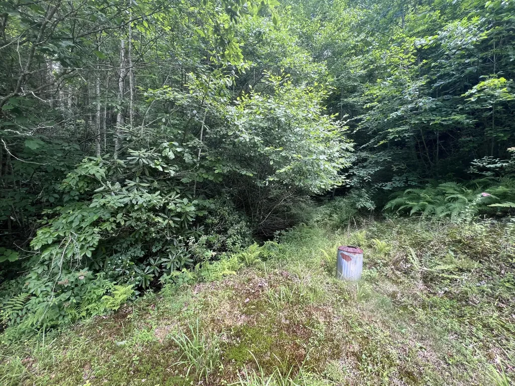 207 Jim Hollow Road Pineville KY 40977