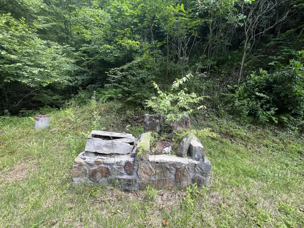 207 Jim Hollow Road Pineville KY 40977