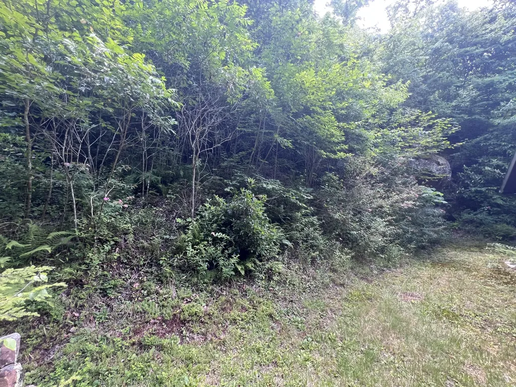 207 Jim Hollow Road Pineville KY 40977