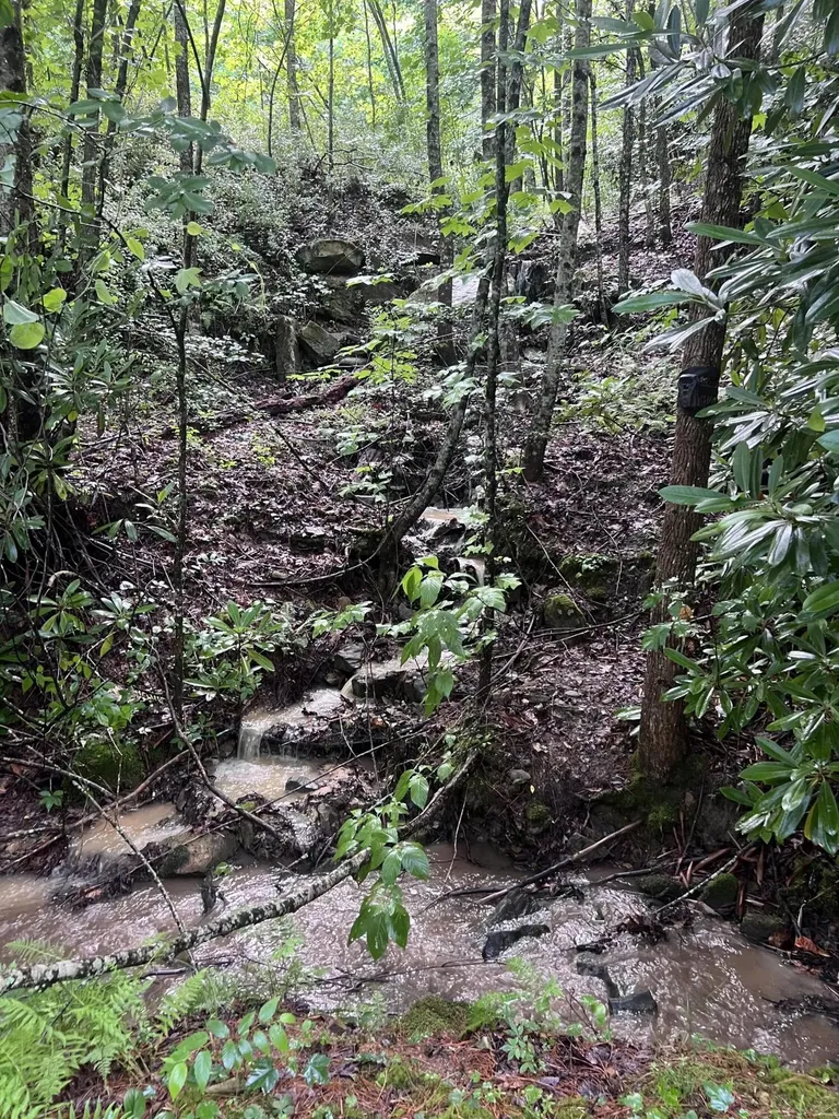 207 Jim Hollow Road Pineville KY 40977
