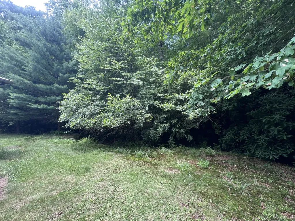 207 Jim Hollow Road Pineville KY 40977
