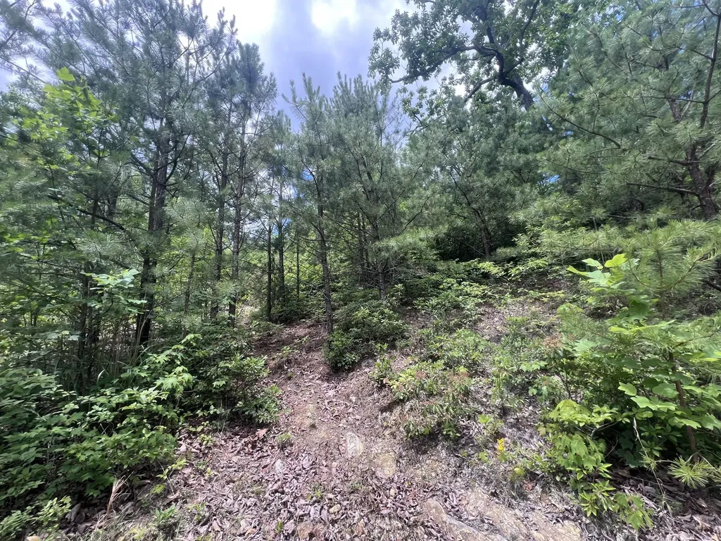 207 Jim Hollow Road Pineville KY 40977