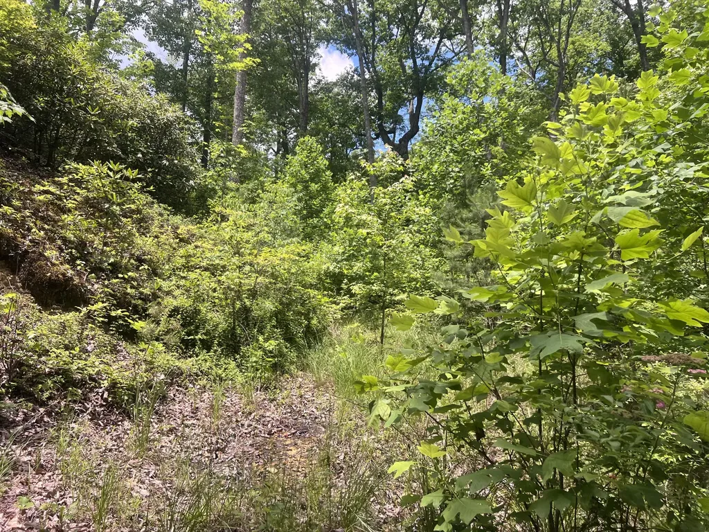 207 Jim Hollow Road Pineville KY 40977