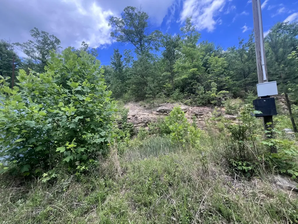 207 Jim Hollow Road Pineville KY 40977