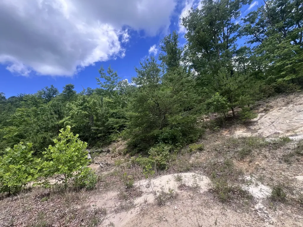 207 Jim Hollow Road Pineville KY 40977