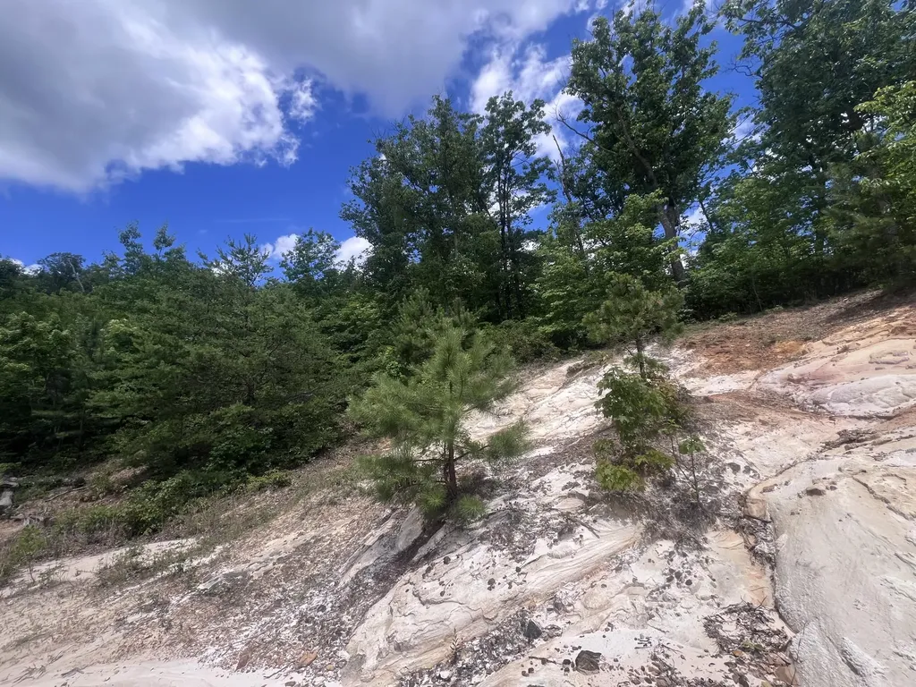 207 Jim Hollow Road Pineville KY 40977