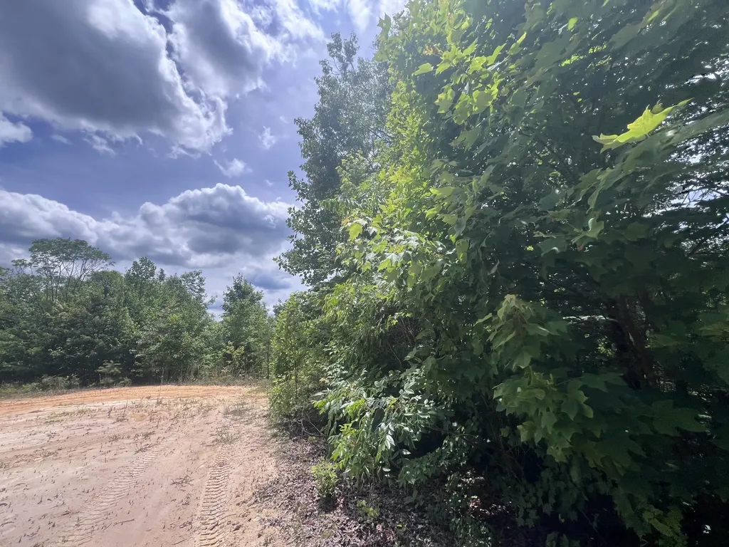 207 Jim Hollow Road Pineville KY 40977