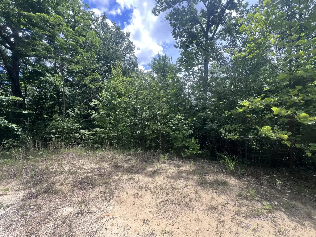 207 Jim Hollow Road Pineville KY 40977