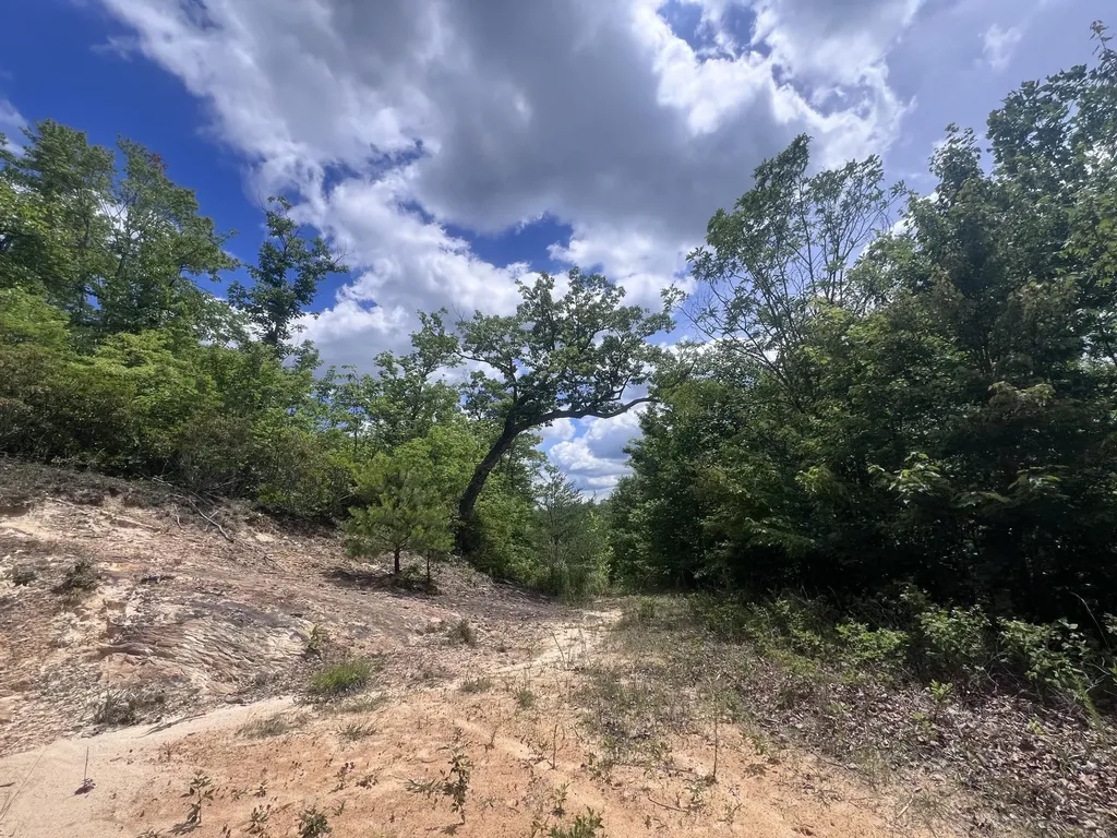 207 Jim Hollow Road Pineville KY 40977