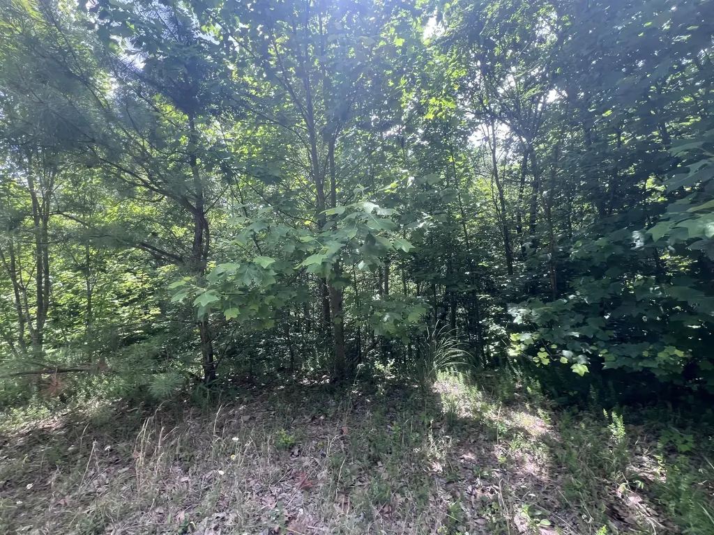 207 Jim Hollow Road Pineville KY 40977