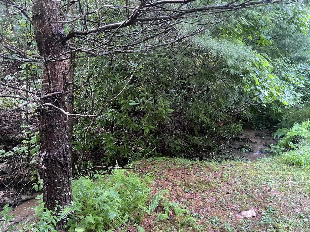 207 Jim Hollow Road Pineville KY 40977