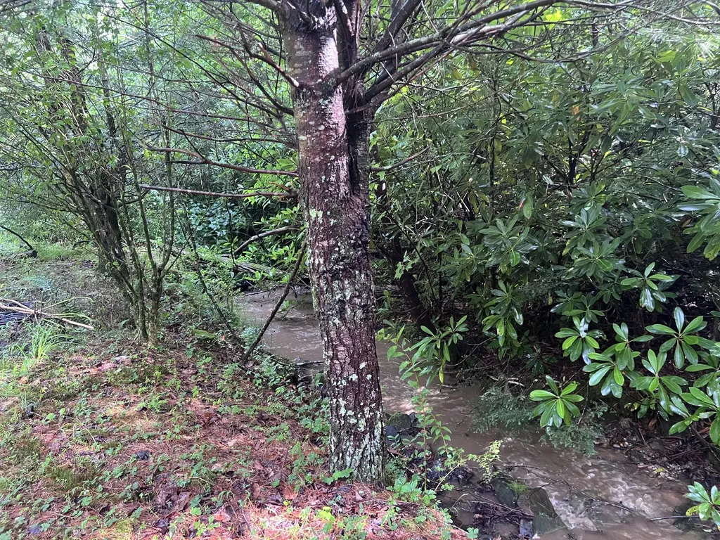 207 Jim Hollow Road Pineville KY 40977