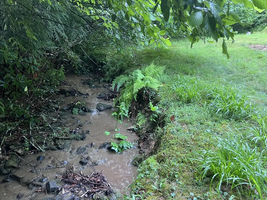 207 Jim Hollow Road Pineville KY 40977