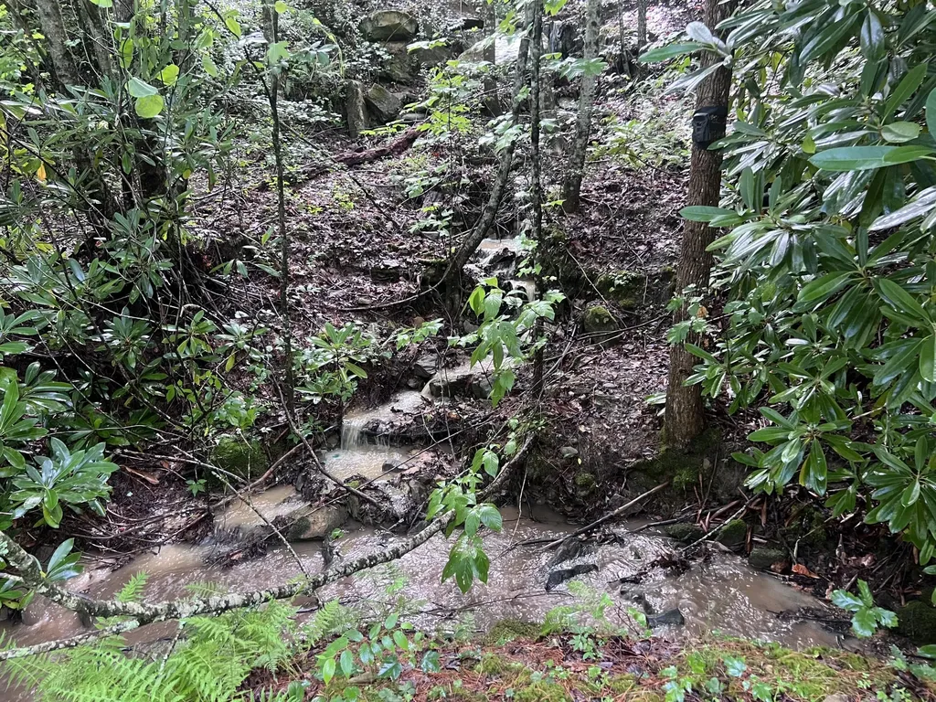 207 Jim Hollow Road Pineville KY 40977