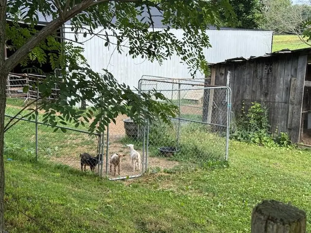 1434 Hwy 167 SE Highway 167 Highway Monticello KY 42633