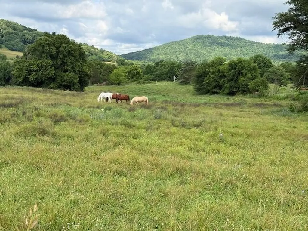 1434 Hwy 167 SE Highway 167 Highway Monticello KY 42633