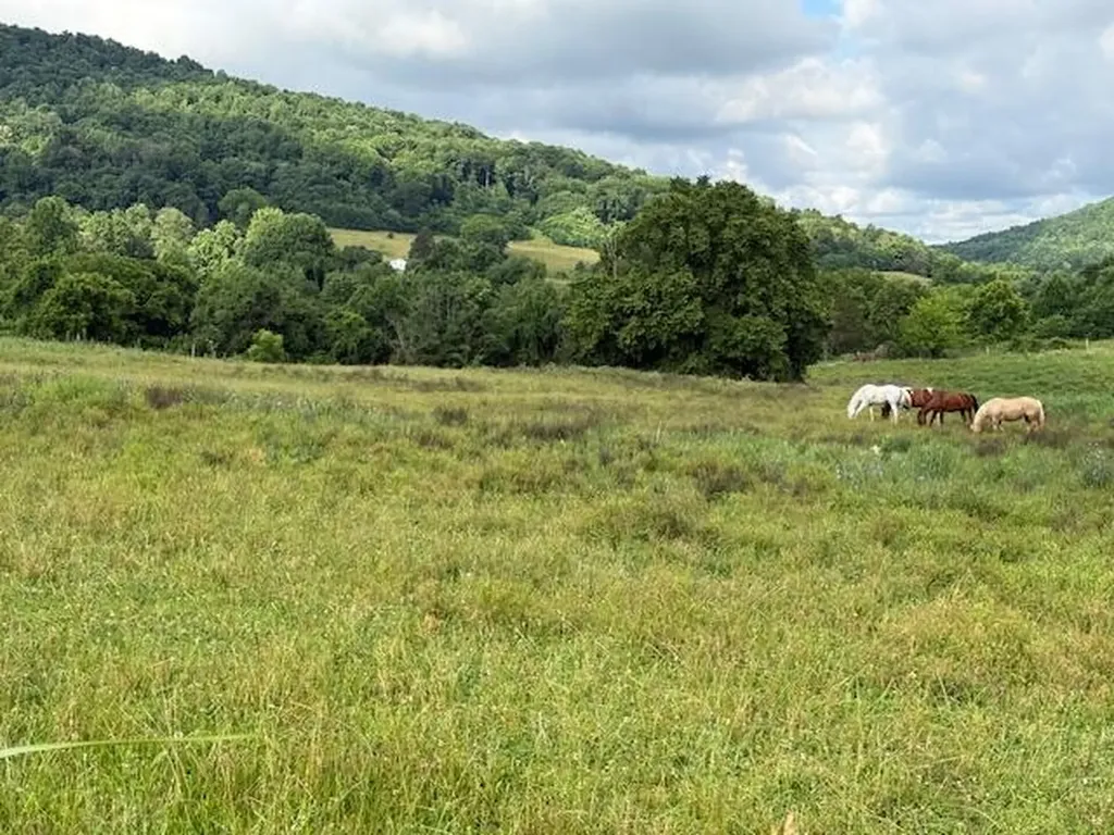 1434 Hwy 167 SE Highway 167 Highway Monticello KY 42633