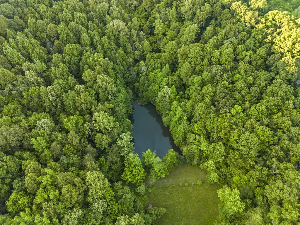 287 Chapel Hollow Greenup KY 41144