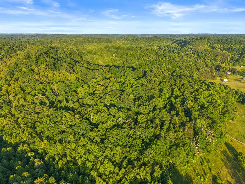 287 Chapel Hollow Greenup KY 41144