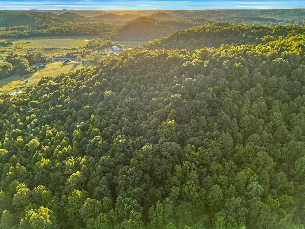287 Chapel Hollow Greenup KY 41144