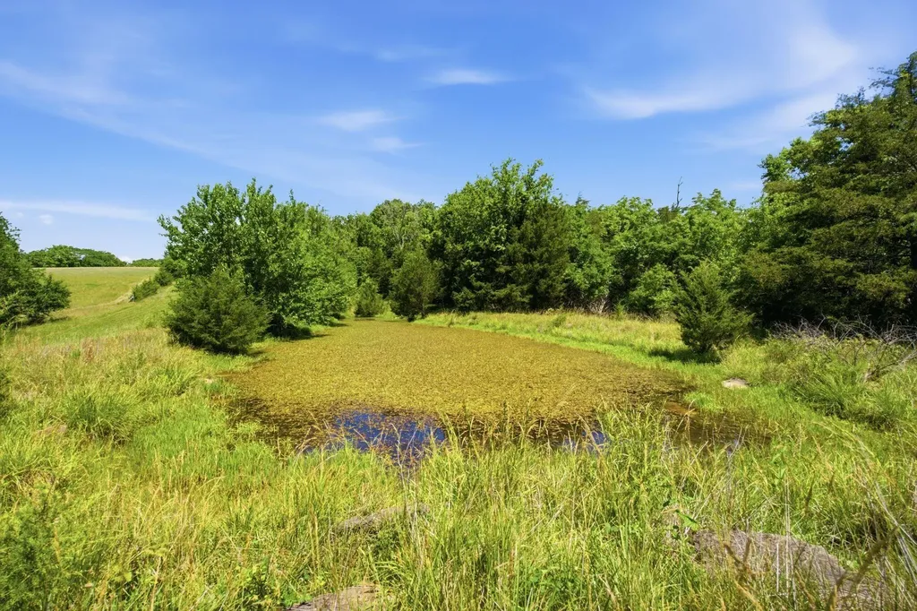 252 Hughes Lane Cynthiana KY 41031