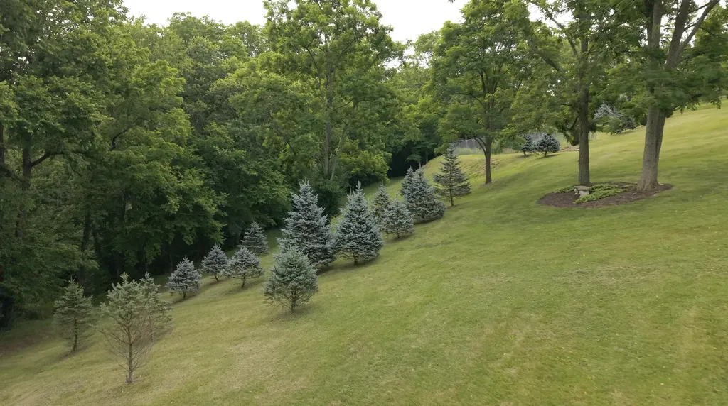 10938 Rich-lan Road Sharpsburg KY 40374