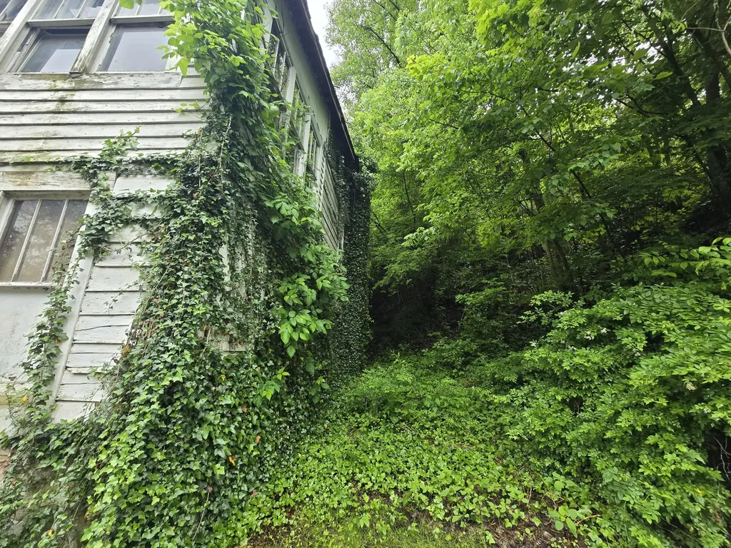 00 Ky 66/hendron Hill Arjay KY 40902
