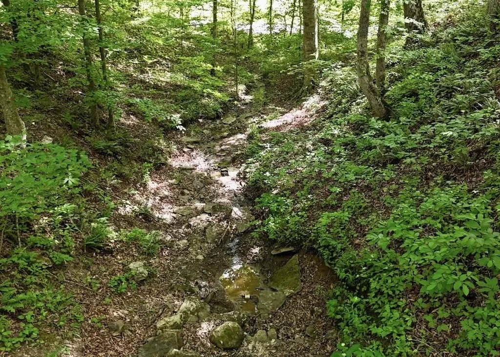 0 Crane Creek Road Manchester KY 40962