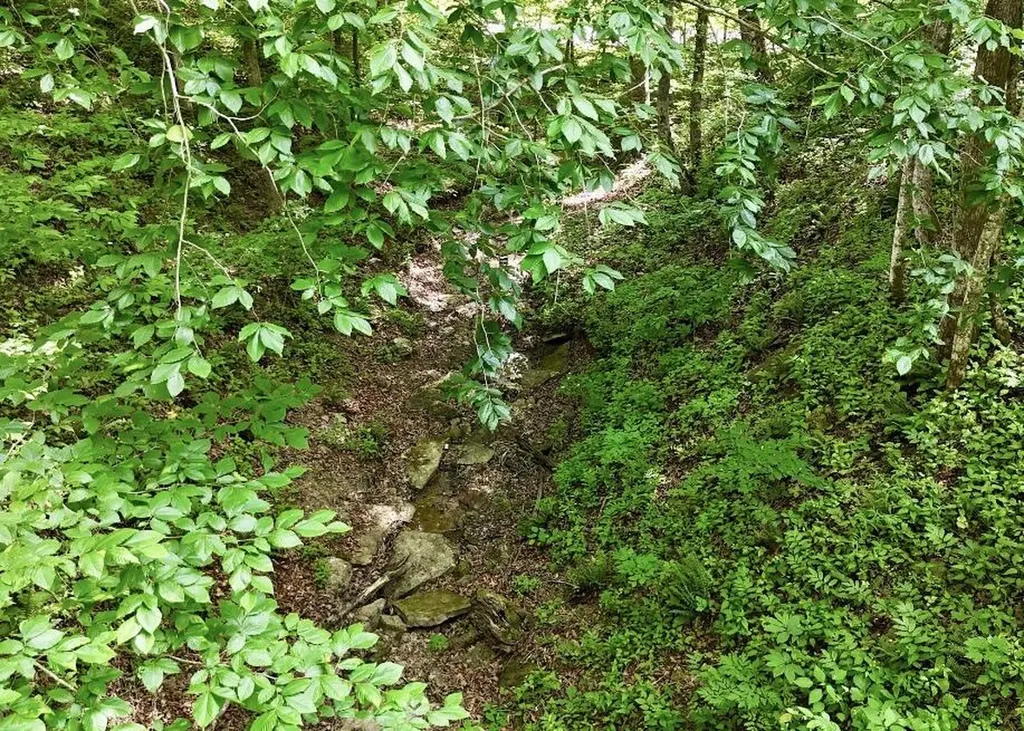 0 Crane Creek Road Manchester KY 40962