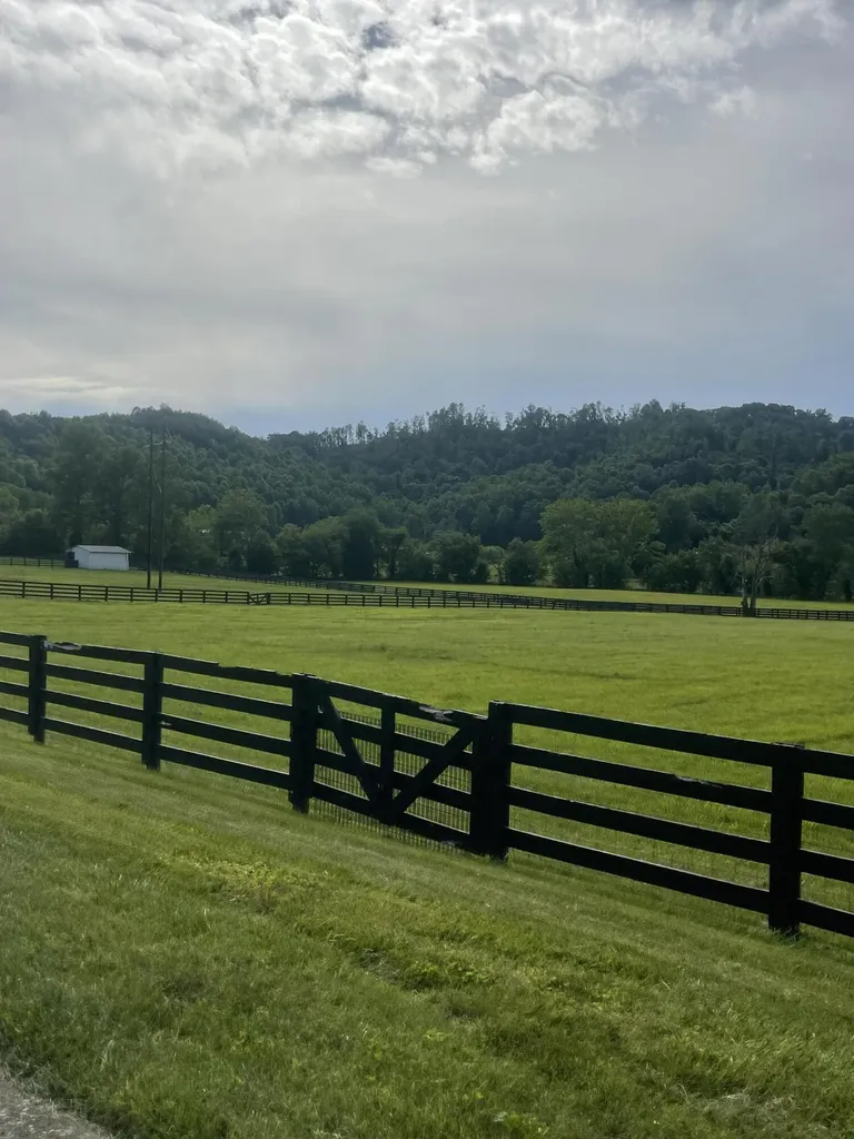 6606 S S Us Highway 25e Flat Lick KY 40935