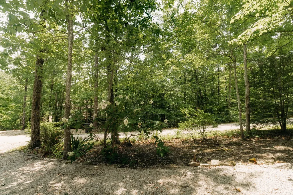 272 Cowboy Lane Wellington KY 40387