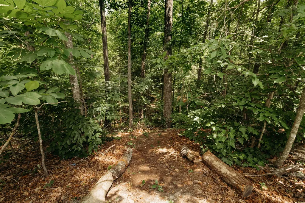272 Cowboy Lane Wellington KY 40387