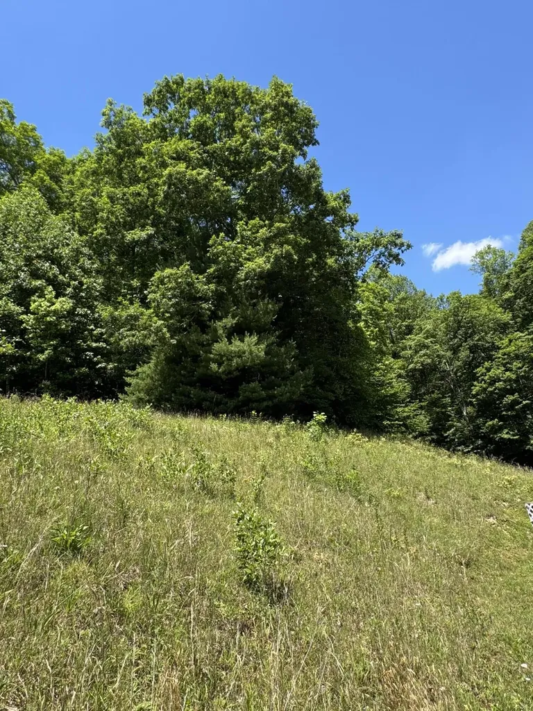 90 Butternut Road Morehead KY 40351