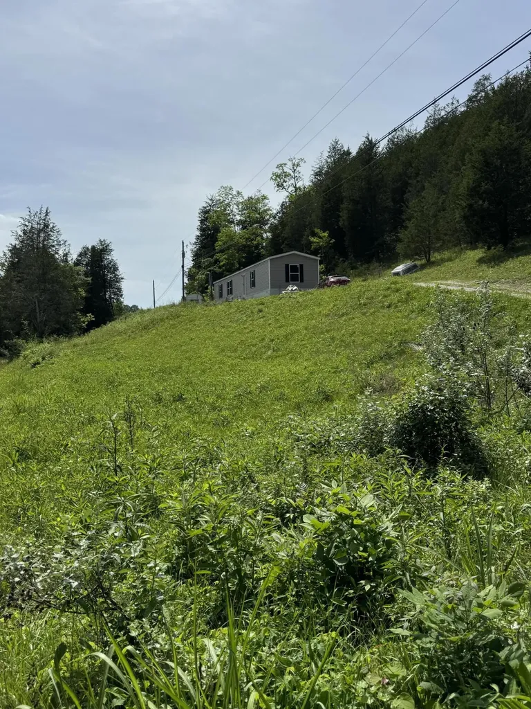 2030 Little Cabin Creek Vanceburg KY 41179