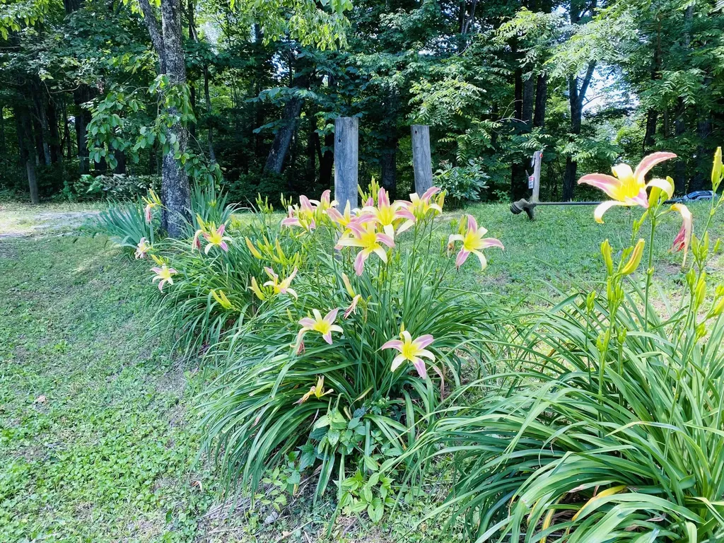 82 Quisenberry Road Morehead KY 40351