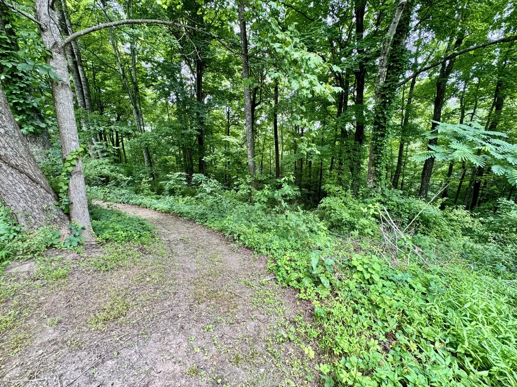 82 Quisenberry Road Morehead KY 40351