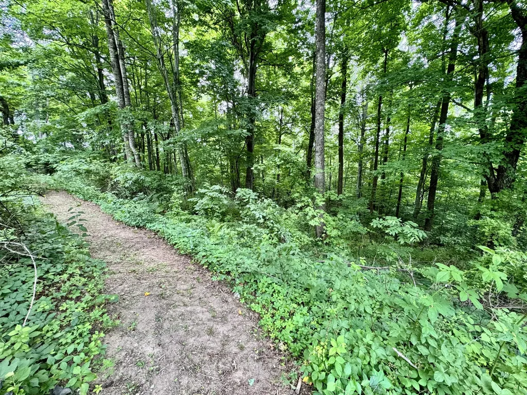 82 Quisenberry Road Morehead KY 40351