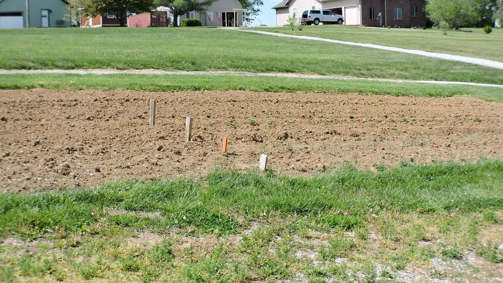3250 Osborne Road Mt Sterling KY 40353
