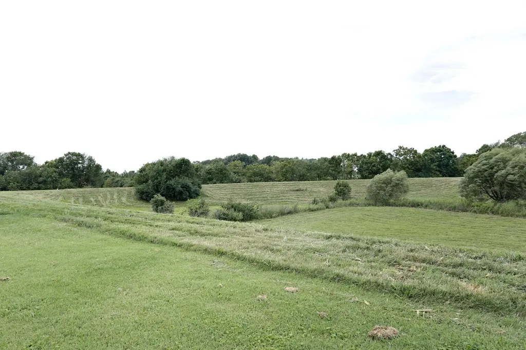 2988 Majestic View Walk Lexington KY 40511