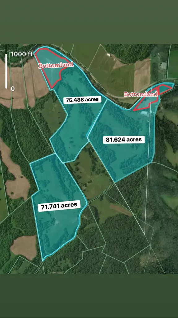 17412 Forkland Road Gravel Switch KY 40328