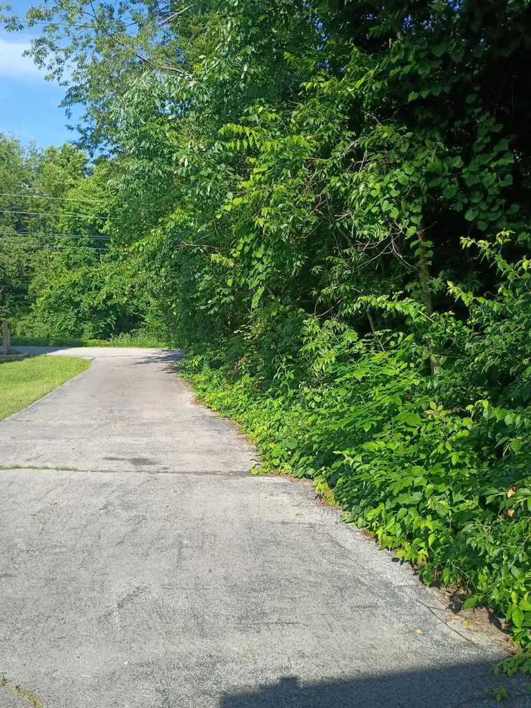 101 Rolling Ridge Drive Berea KY 40403