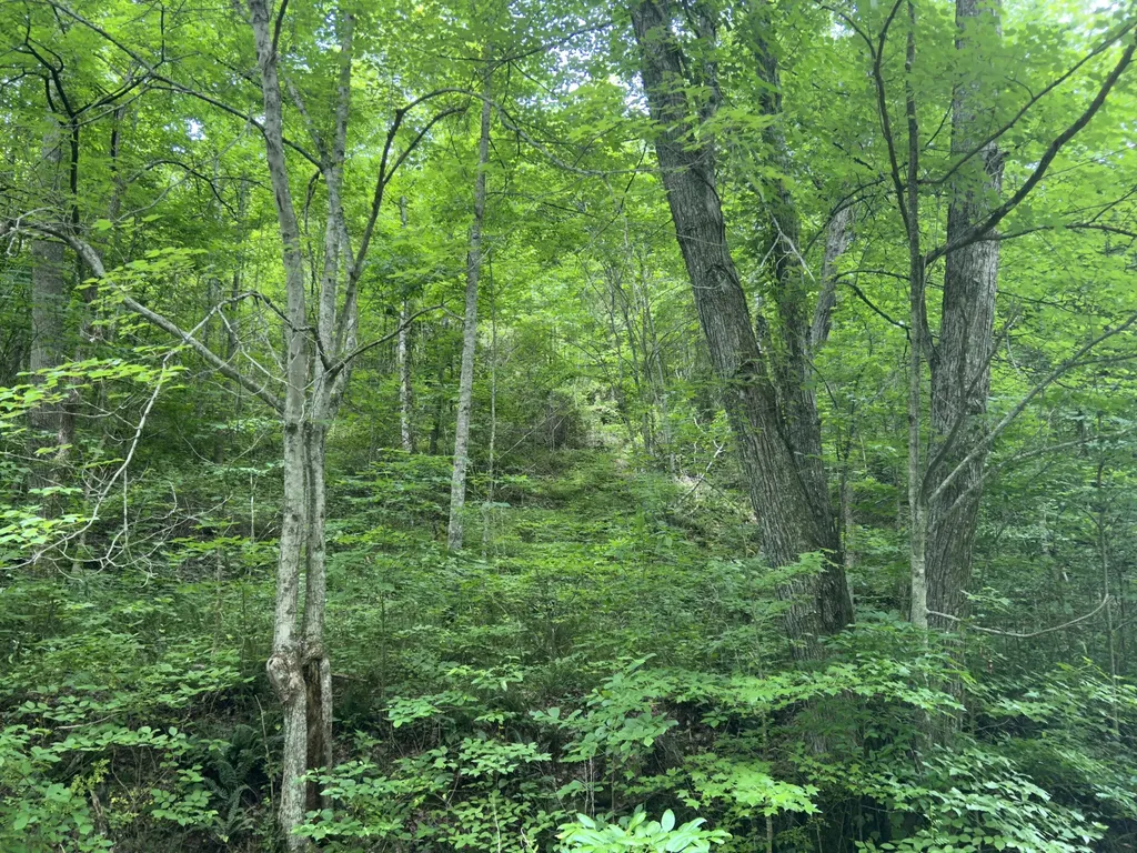 0000 Hodge Road London KY 40741