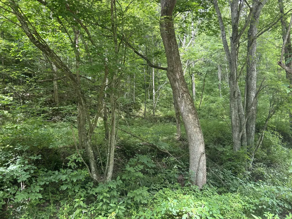 0000 Hodge Road London KY 40741