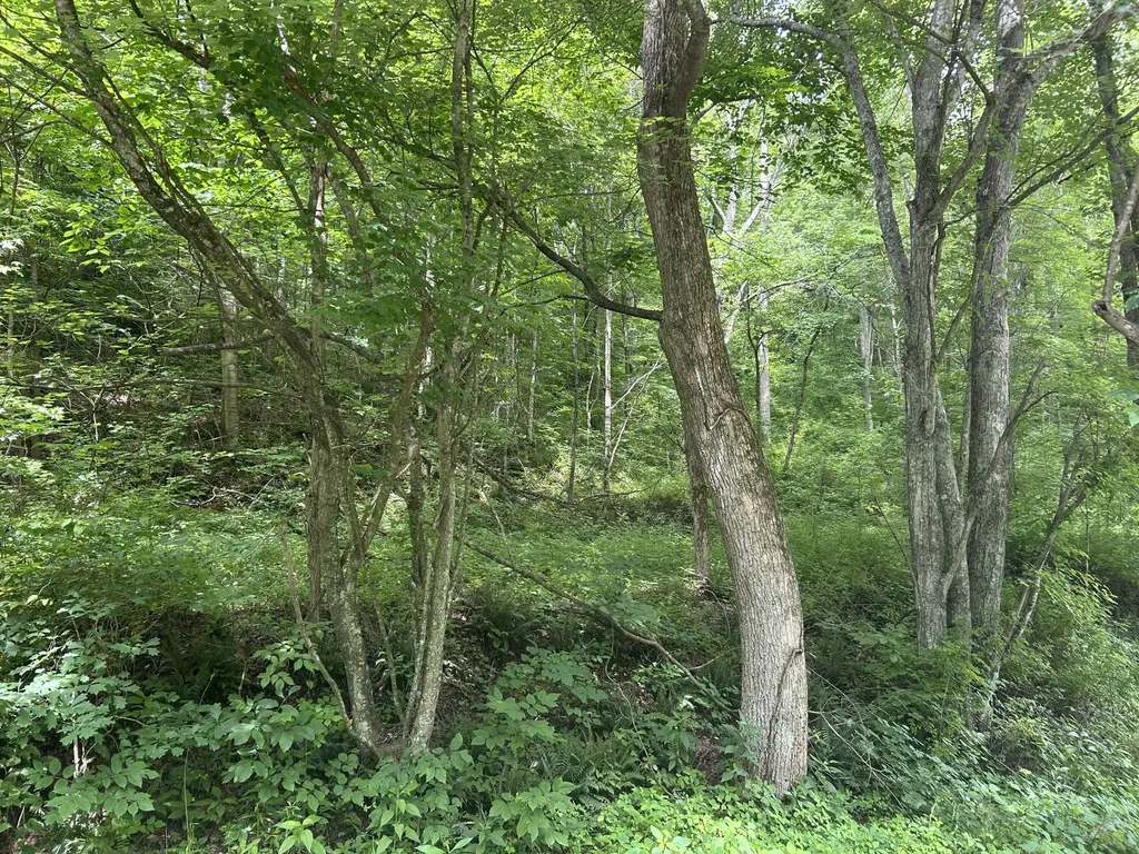 0000 Hodge Road London KY 40741