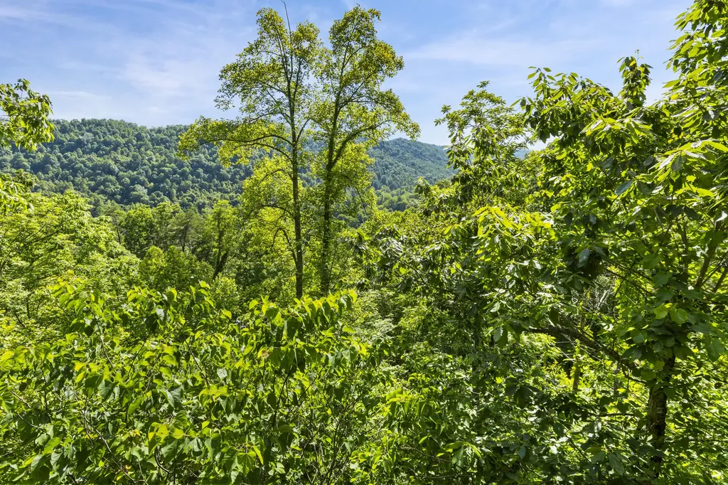 1751 Carabiner Circle Stanton KY 40380