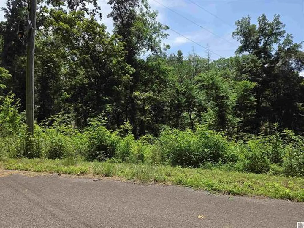 Lot 68 & 69 Baker Lane Cadiz KY 42211